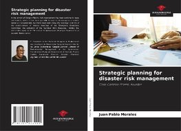 Strategic planning for disaster risk management