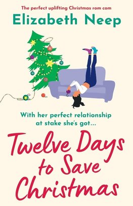 Twelve Days to Save Christmas