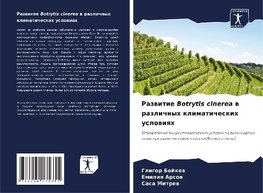 Razwitie Botrytis cinerea w razlichnyh klimaticheskih uslowiqh