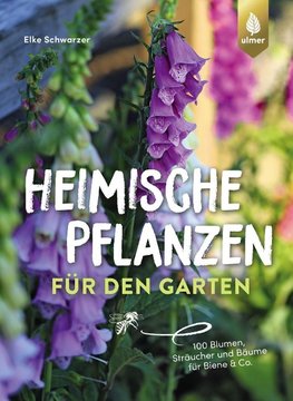 Heimische Pflanzen für den Garten