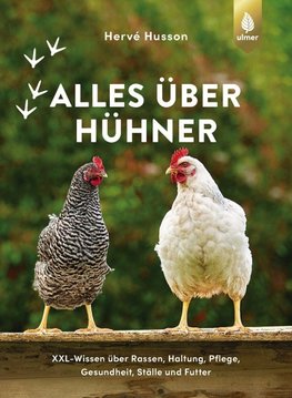 Alles über Hühner