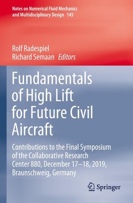 Fundamentals of High Lift for Future Civil Aircraft