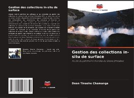 Gestion des collections in-situ de surface