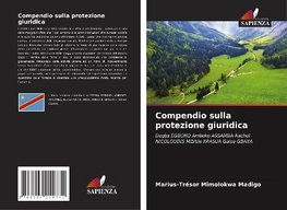 Compendio sulla protezione giuridica