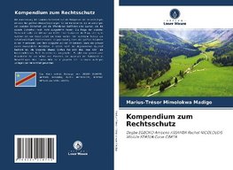 Kompendium zum Rechtsschutz