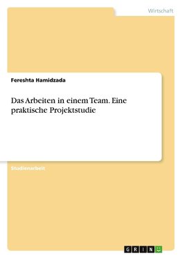 Das Arbeiten in einem Team. Eine praktische Projektstudie