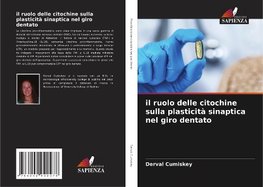 il ruolo delle citochine sulla plasticità sinaptica nel giro dentato