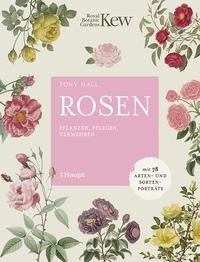 Rosen