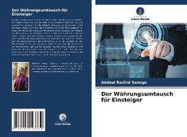 Der Währungsumtausch für Einsteiger