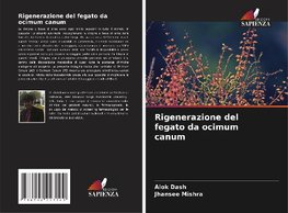 Rigenerazione del fegato da ocimum canum