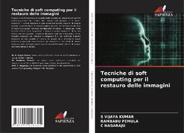 Tecniche di soft computing per il restauro delle immagini