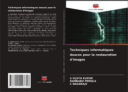 Techniques informatiques douces pour la restauration d'images