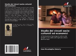 Studio dei vincoli socio-culturali ed economici