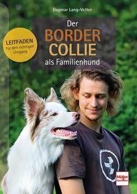 Der Border Collie als Familienhund