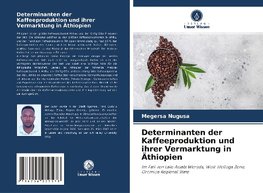 Determinanten der Kaffeeproduktion und ihrer Vermarktung in Äthiopien