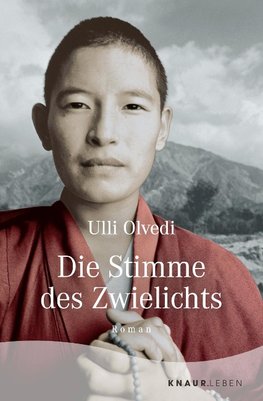 Die Stimme des Zwielichts