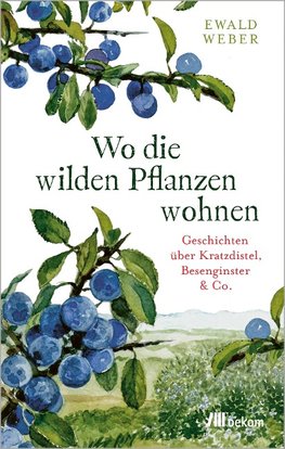 Wo die wilden Pflanzen wohnen