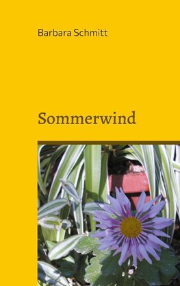 Sommerwind