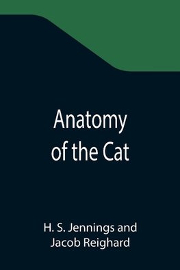 Anatomy of the Cat