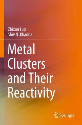 Metal Clusters and Their Reactivity