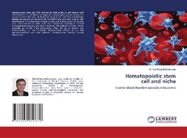 Hematopoietic stemcell and niche