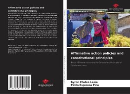 Affirmative action policies and constitutional principles