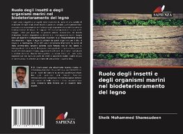 Ruolo degli insetti e degli organismi marini nel biodeterioramento del legno