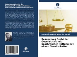 Besonderes Recht der Gesellschaft mit beschränkter Haftung mit einem Gesellschafter