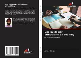 Una guida per principianti all'auditing