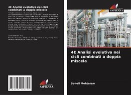 4E Analisi evolutiva nei cicli combinati a doppia miscela