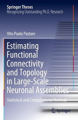 Estimating Functional Connectivity and Topology in Large-Scale Neuronal Assemblies