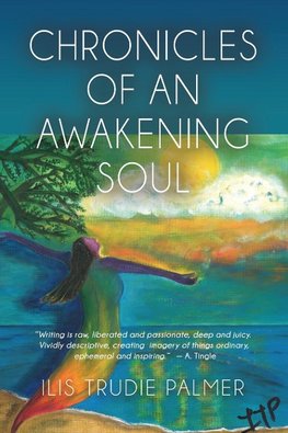 Chronicles of an Awakening Soul