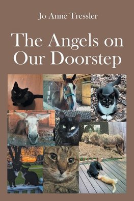 The Angels on Our Doorstep