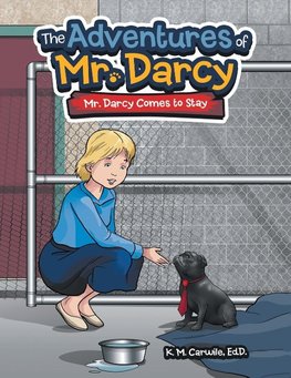 The Adventures of Mr. Darcy