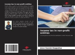 Income tax in non-profit entities