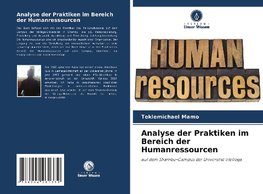 Analyse der Praktiken im Bereich der Humanressourcen