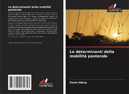 Le determinanti della mobilità pastorale