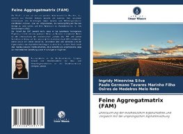 Feine Aggregatmatrix (FAM)