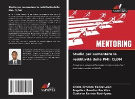 Studio per aumentare la redditività delle PMI: CLDM