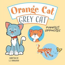 Orange Cat Grey Cat