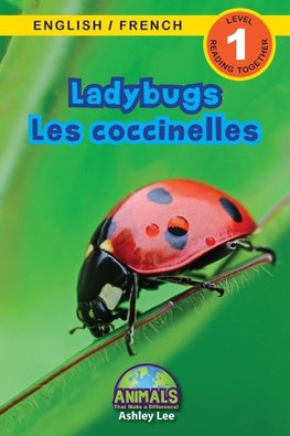 Ladybugs / Les coccinelles