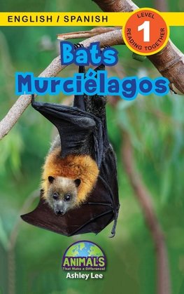 Bats / Murciélagos