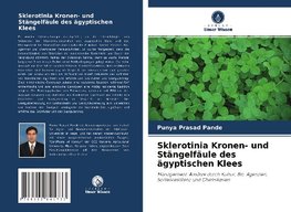 Sklerotinia Kronen- und Stängelfäule des ägyptischen Klees