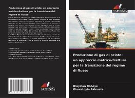 Produzione di gas di scisto: un approccio matrice-frattura per la transizione del regime di flusso