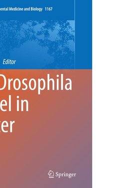 The Drosophila Model in Cancer