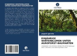 EINJÄHRIGE WINTERBLUMEN UNTER AGROFORST-BAUMARTEN