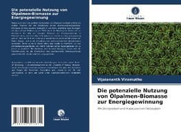 Die potenzielle Nutzung von Ölpalmen-Biomasse zur Energiegewinnung