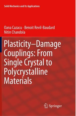 Plasticity-Damage Couplings: From Single Crystal to Polycrystalline Materials