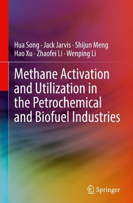 Methane Activation and Utilization in the Petrochemical and Biofuel Industries