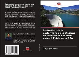 Évaluation de la performance des stations de traitement des eaux usées à l'aide de la DEA